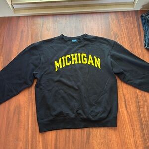 Champion Men’s Fleece Sweater Michigan Large Navy